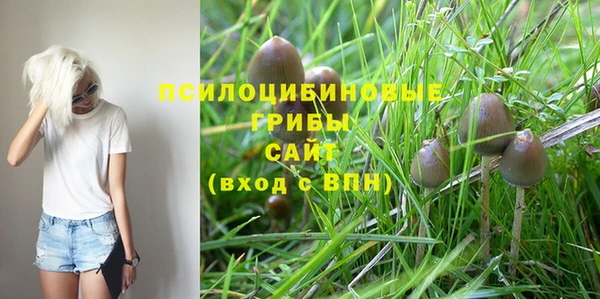 таблы Арсеньев