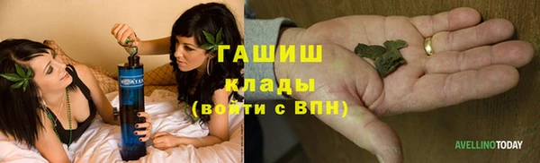 сатива Армянск