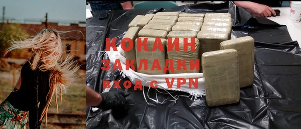 сатива Армянск