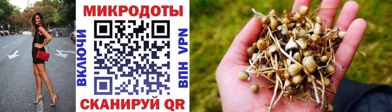 Галлюциногенные грибы Magic Shrooms  цены наркотик  Павловский Посад 